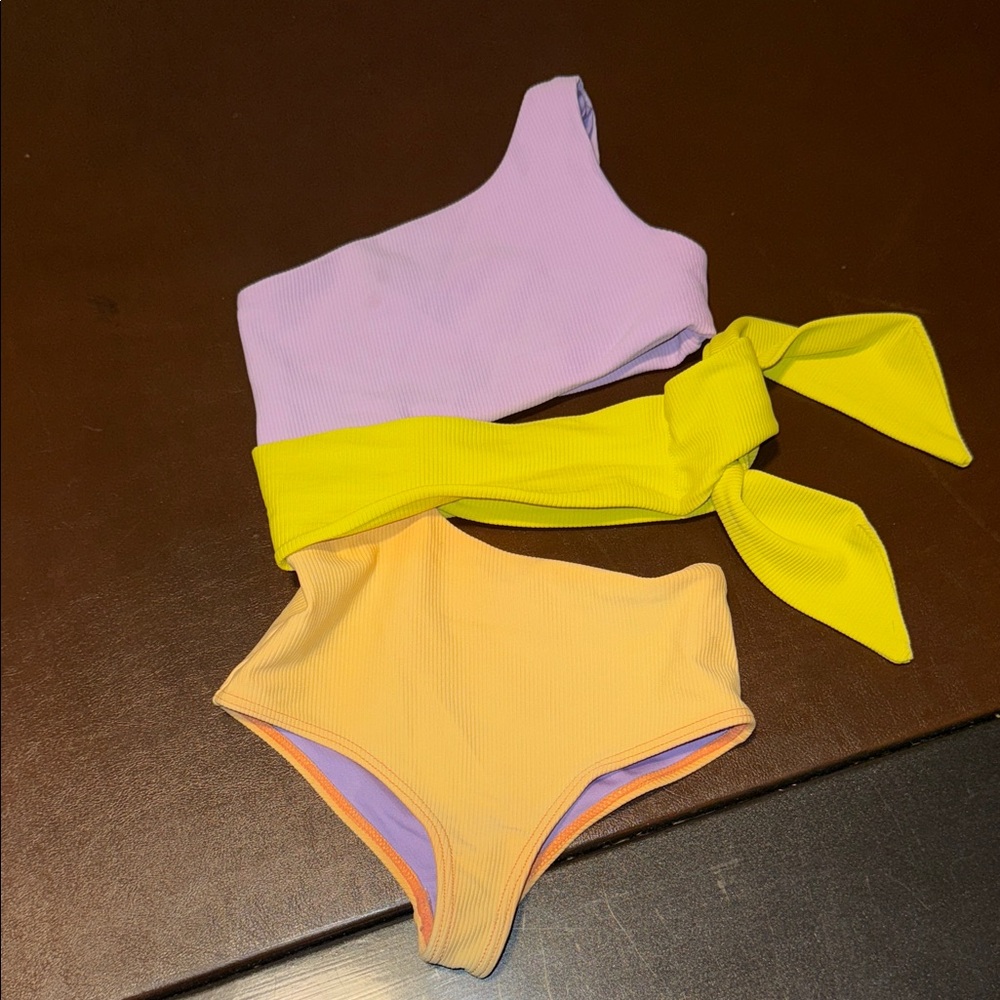 Beach Riot Colorblock One-Shoulder Bikini